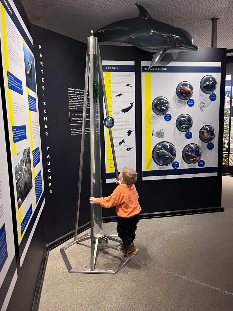 Ausstellung im Museumsteil