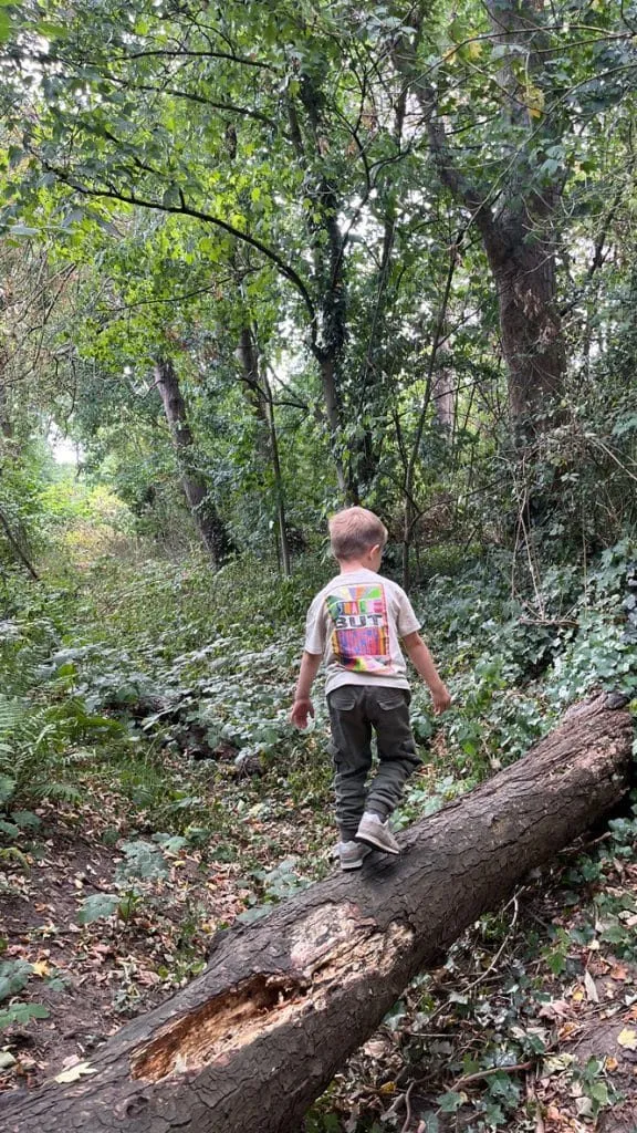 Kind balanciert im Wald neben einem umgestürzten Baumstamm