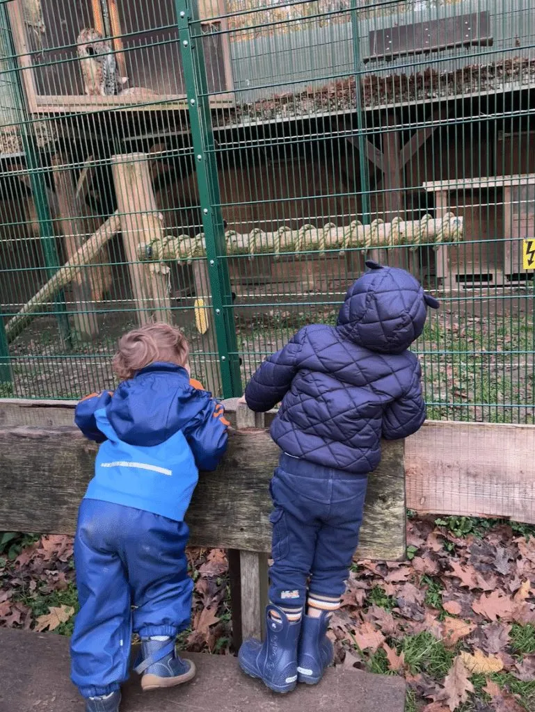 Zwei Kinder in Regenkleidung schauen ins Luchsgehege