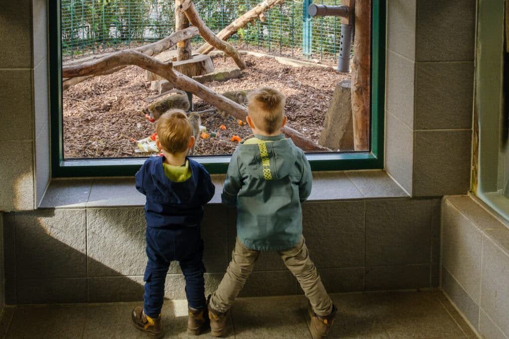 Zwei Kinder stehen vor der Glasscheibe eines Geheges im Tiergarten Odenkirchen